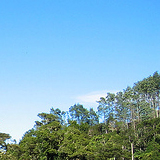 In the Hunua Ranges, New Zealand