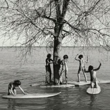 Surfwise